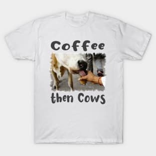 Coffee then Cows Funny T-Shirt